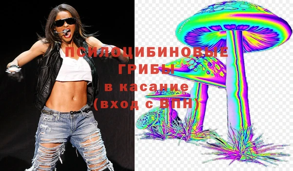 стафф Вязьма